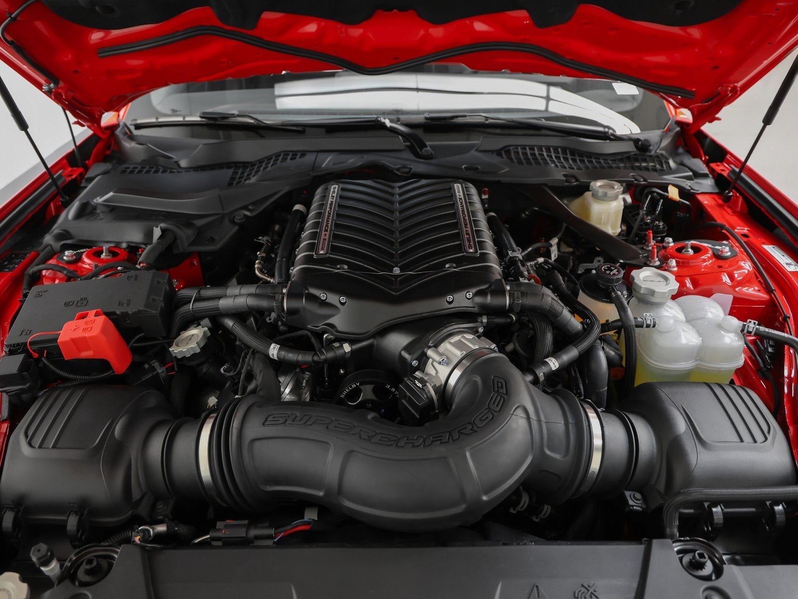 2025 Ford Mustang Shelby GT350