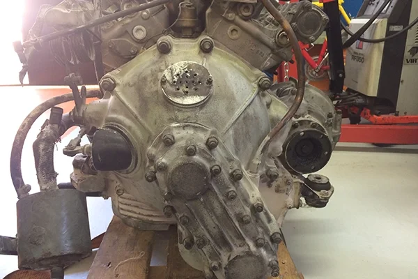 Havana Satin Angle 5